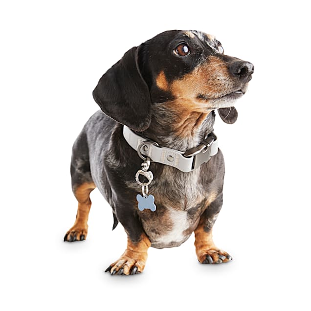 Reddy Grey Durable Dog Collar, Large/X-Large - Carousel image #1