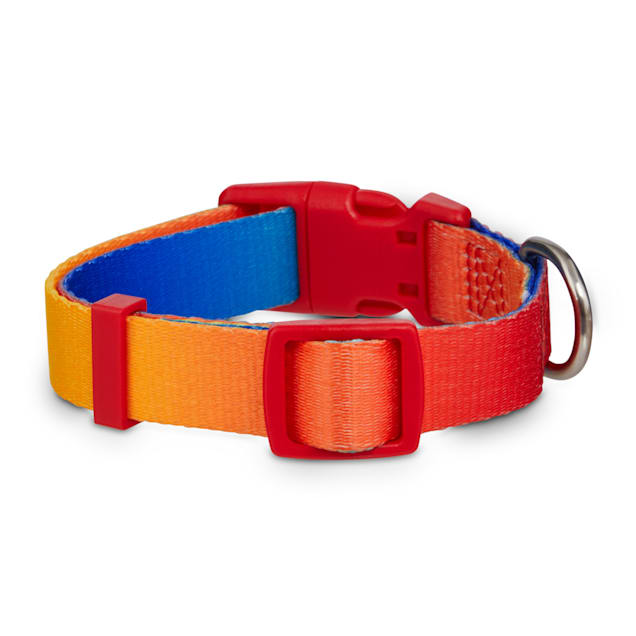 Rainbow dog accessories clearance