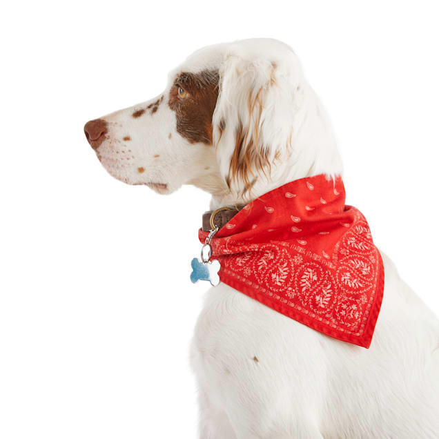 Reddy Red Paisley Reversible Dog