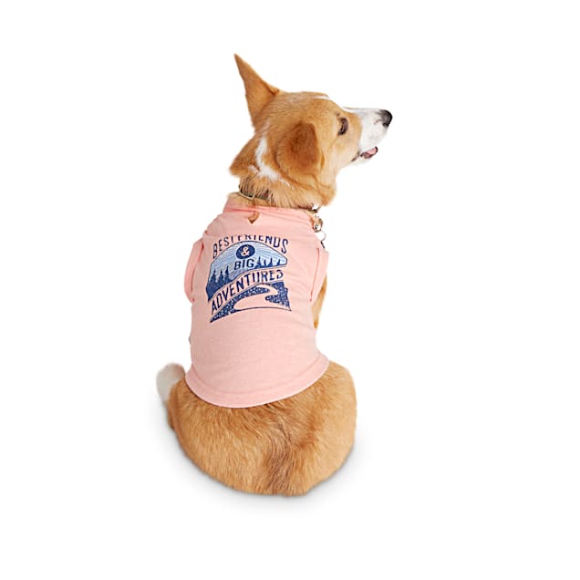 Big sister dog shirt petco clearance