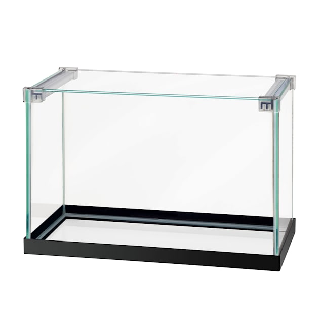 Buy Raylans Black Aquarium Fish Net Fish Tank Net Large Online at  desertcartINDIA