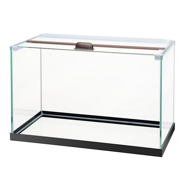 Aqueon Black Rimless Tank Aquarium 10 Gallon Petco