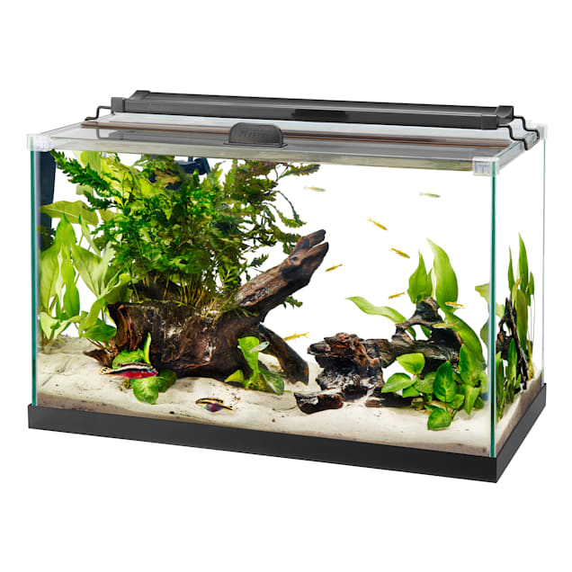 Aqueon Black Rimless Tank Aquarium, 10 Gallon Petco