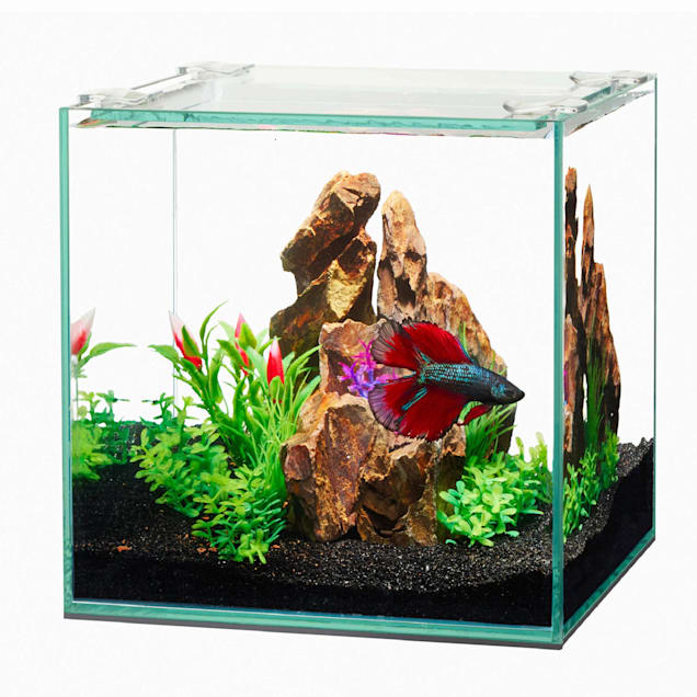Aqueon Frameless Cube Aquarium, 1 Gallon