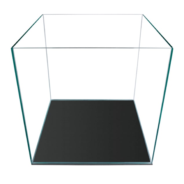 Gallon cube online