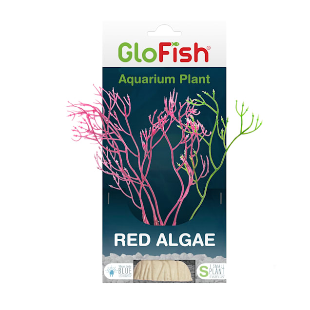 GloFish Red Algae Plant Fluorescent Under Blue LED Light Aquarium Decor, Medium - Carousel image #1