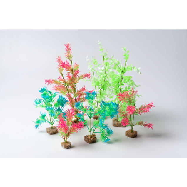GloFish Green And White Plant Fluorescent Under Blue LED Light