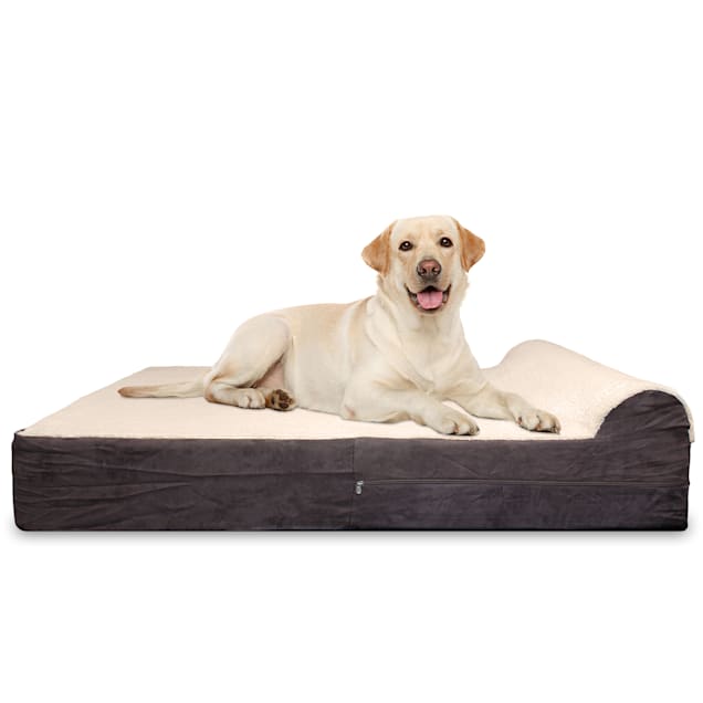 Kopeks Orthopedic Memory Foam Dog Bed With Pillow 50 L X 34 W X 7 H Petco
