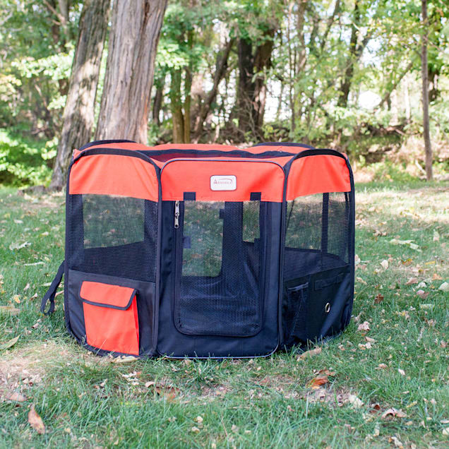 Cat playpen petco cheap