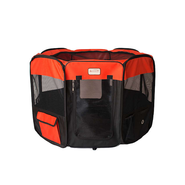 Cat playpen petco cheap