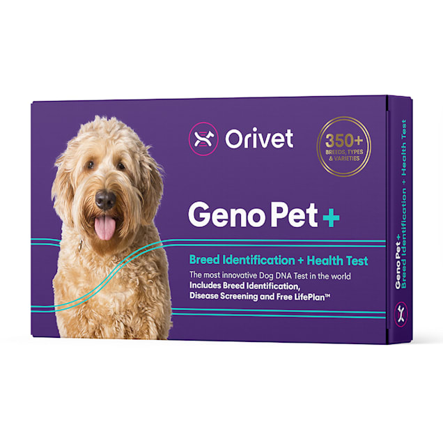 Orivet Geno Pet Plus 5.0 Dog DNA Breed Identification & Health Test - Carousel image #1