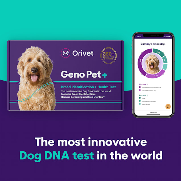 Orivet dog dna test clearance