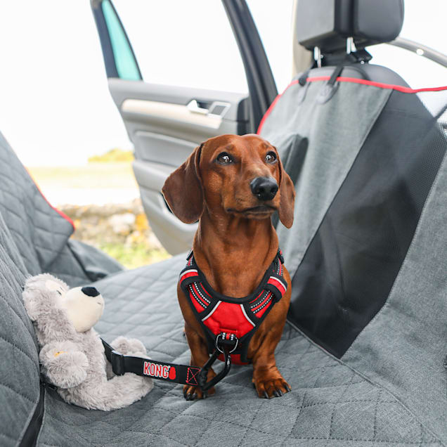 KONG 2 In 1 Car Bench Seat Cover and Hammock for Dogs Petco