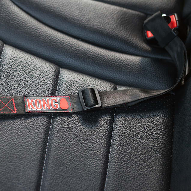 Dog seat shop belt tether petco