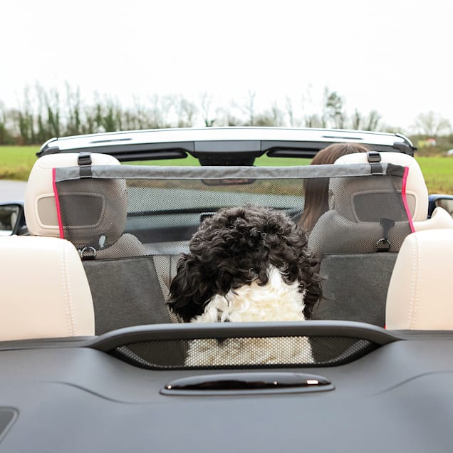 Car seat deals divider for dogs
