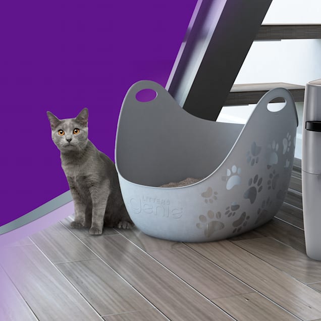Litter Genie Cat Litter Box Petco