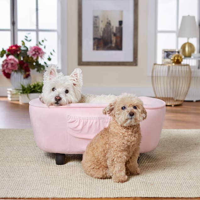 Pink dog 2025 sofa