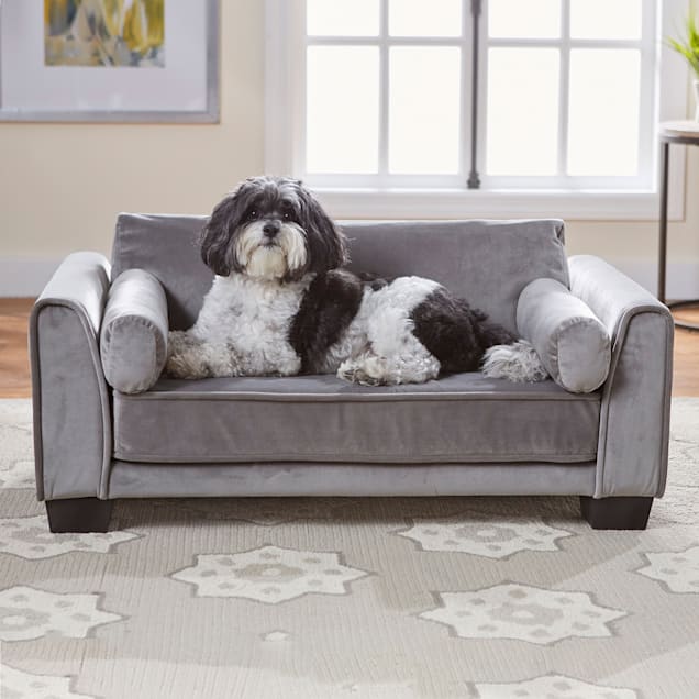 Beasley's couch dog bed sale