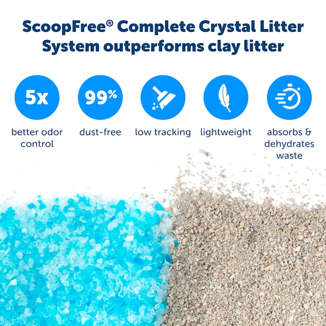 LItter box to control odor