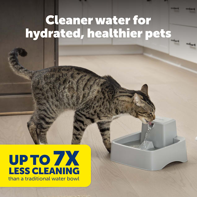 Petco cat fountain store