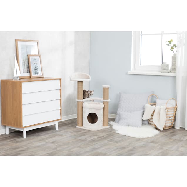 Cat scratching post petco top