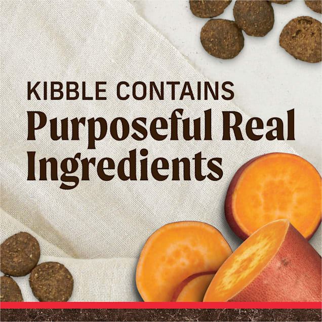 Grain free bison dog food online