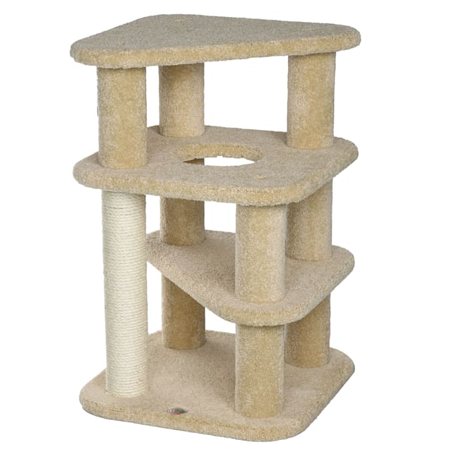 Petco hotsell cat post