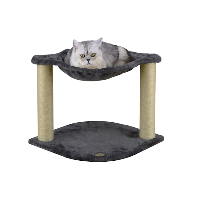 petco