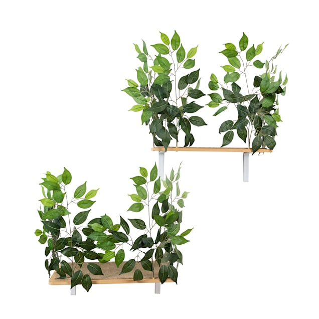On2Pets Cat Rectangle Canopy Shelves White, 6" H - Carousel image #1