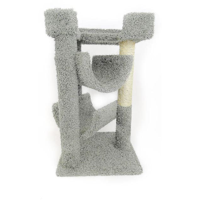 Scratch lounge petco new arrivals