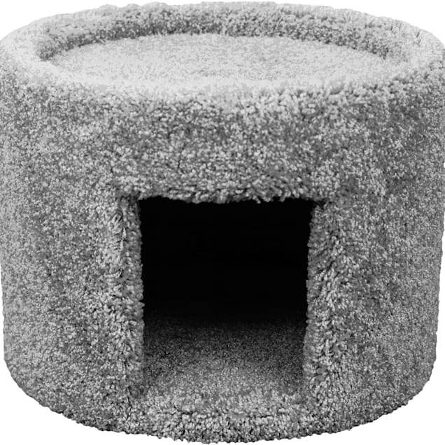 Single story cat condo 2025