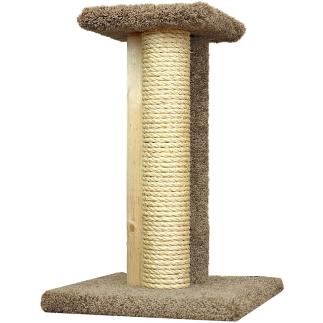 Kitty condos petco deals