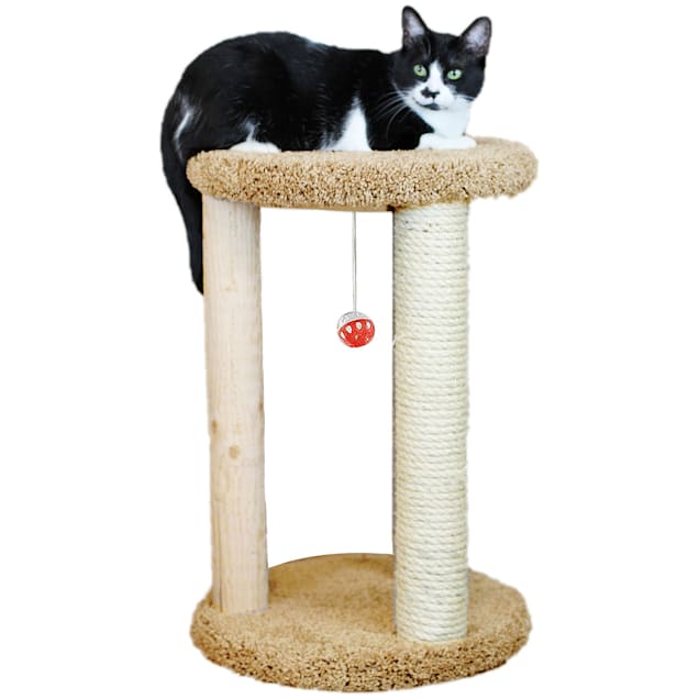 Petco ultimate scratching post on sale