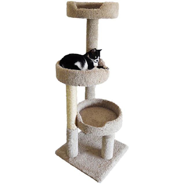 Petco cheap kitty condo