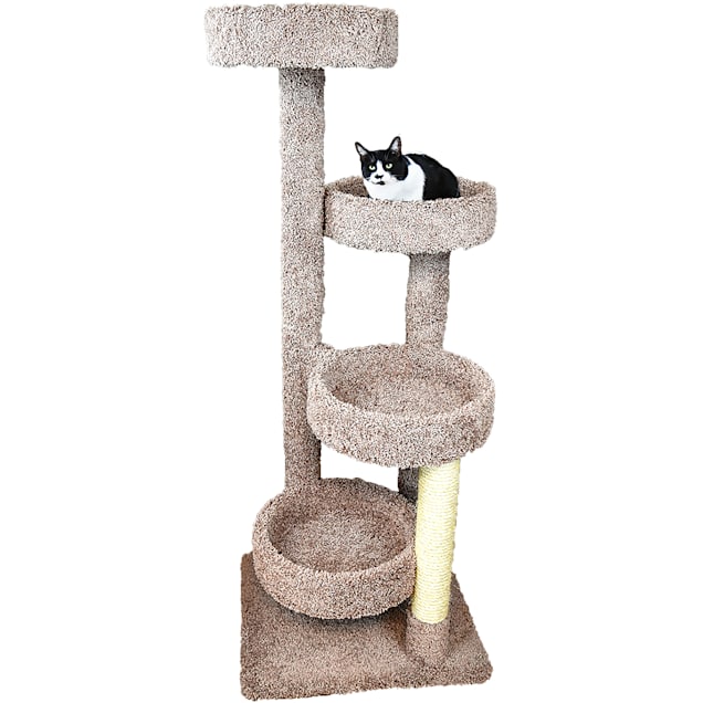 Solid Wood Tumbler Swing Toys Interactive Cat Feeder