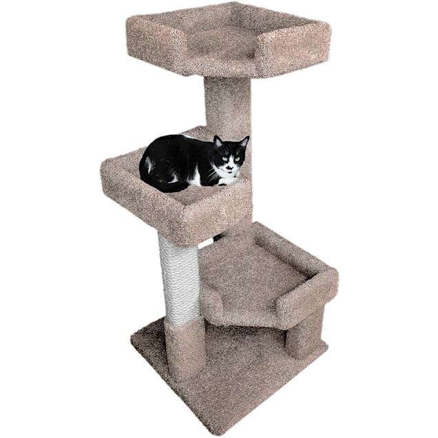 Kitty condos petco outlet