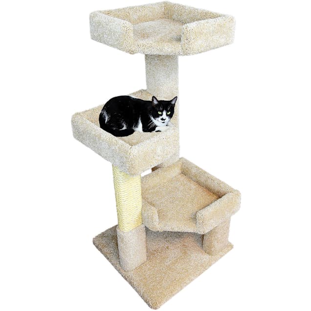 Petco cheap kitty condo