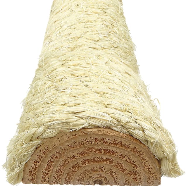 Carpeted cat trees and condos store