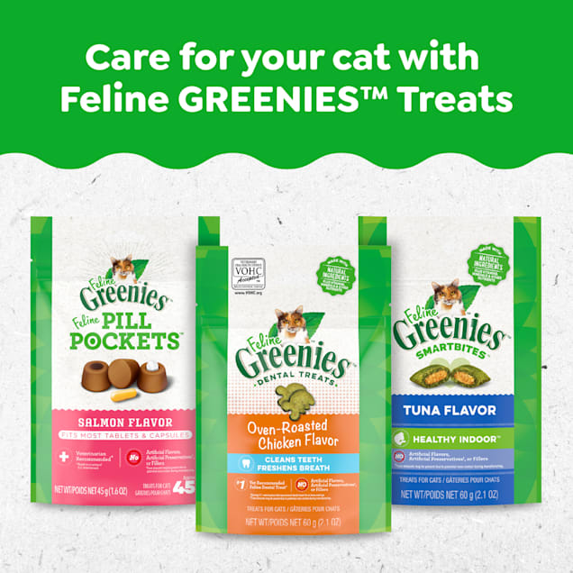 Feline greenies on sale 11oz