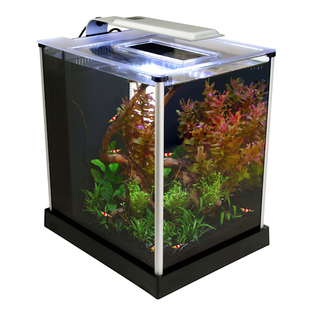 Fluval EBI Freshwater Shrimp Kit, 2.6 Gallon - Carousel image #1