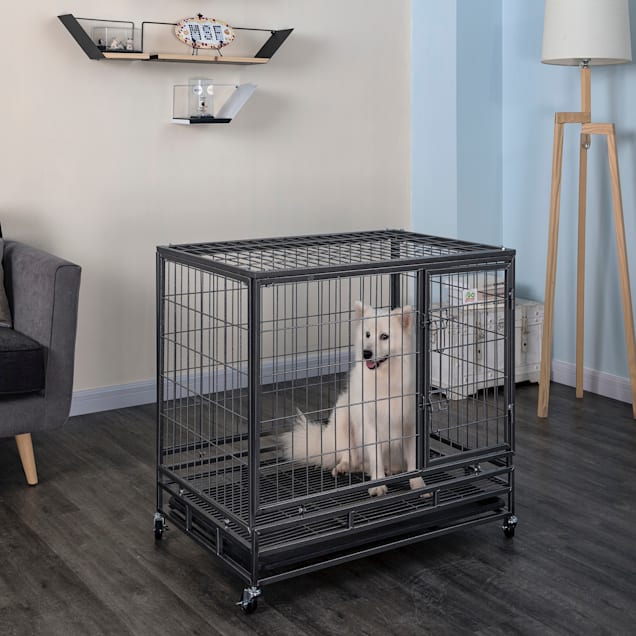 Petco large dog crate on sale
