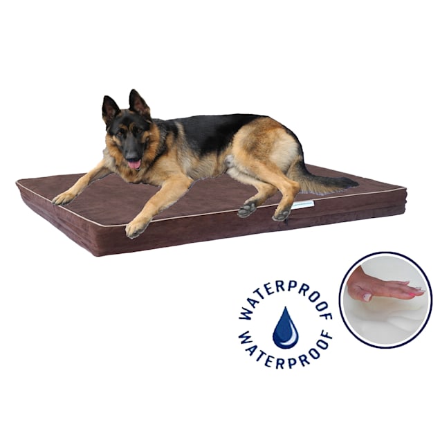 Go Pet Club Solid Memory Foam Brown Dog Bed with Waterproof Cover 38 L X 55 W X 4 H