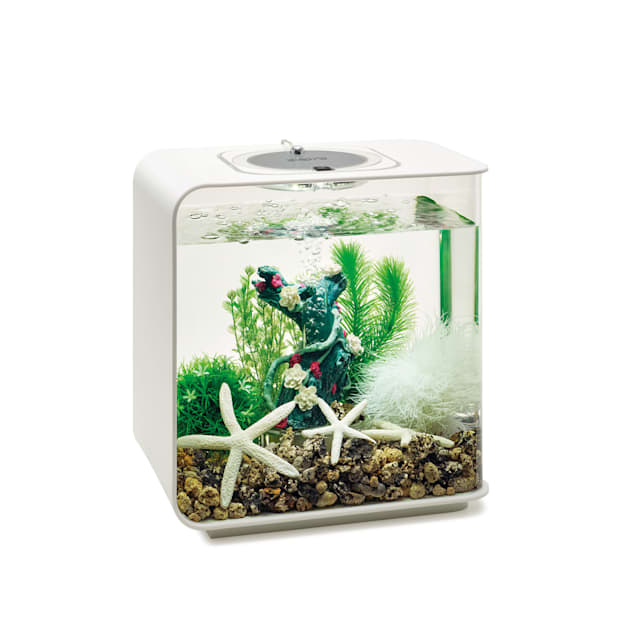 Biorb decoration clearance kits