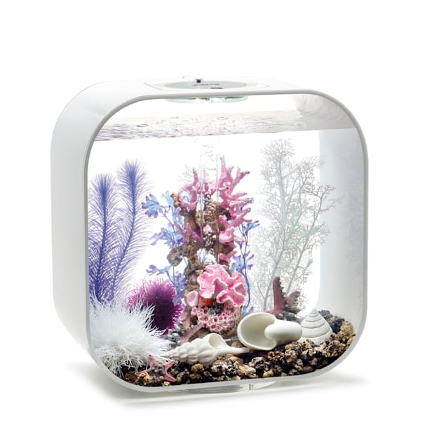 Biorb best sale decoration kits