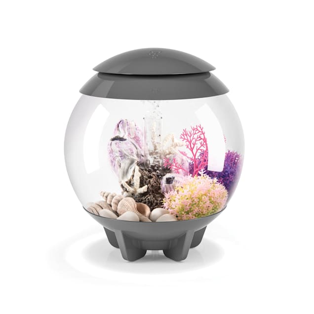 biOrb Halo Grey 4 Gallon Aquarium With Micro Light, 13" L X 13" W X 14.