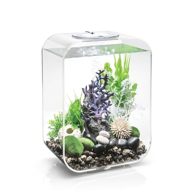 biorb life transparent aquarium with micro light 4 gallon 11 25 l x 7 4 w x 15 5 h