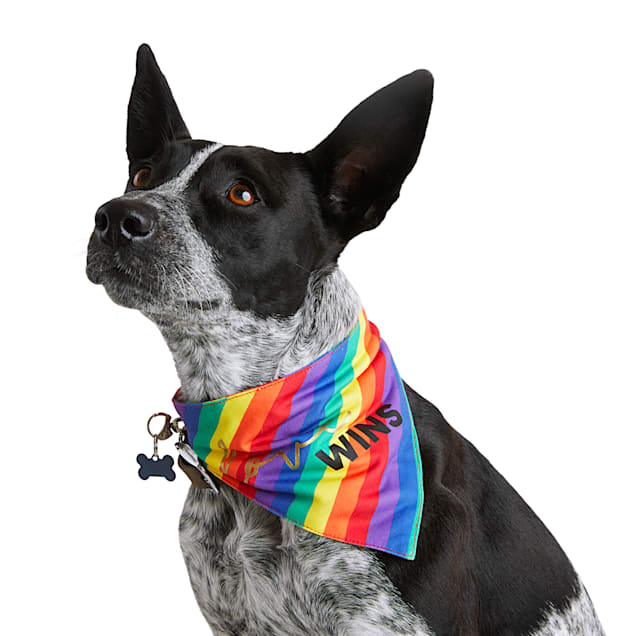 Rainbow dog bandana