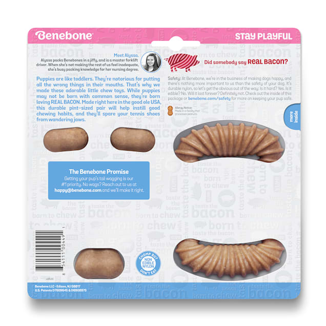 Benebone Bacon Flavor Puppy Chew Toys X Small Pack of 2 Petco
