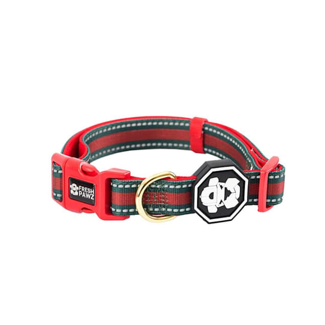 Fresh Pawz The G-Stripe Dog Collar, Small - Carousel image #1