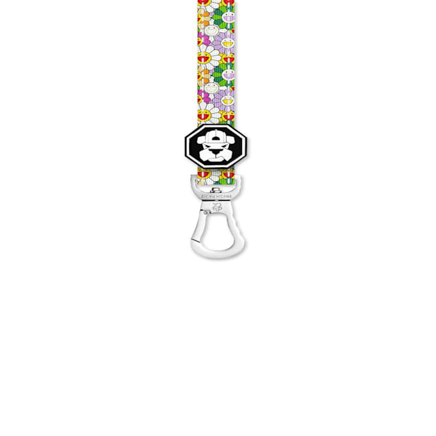 Fresh Pawz The Psychedelic Flowers Dog Leash, Large - Carousel image #1